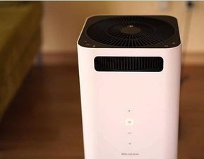 火遍ins的小家电 这些网红产品颜值在线还很实用