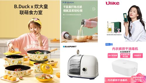 美容健康小家电搬进家庭,小家电新类目带来消费品质升级