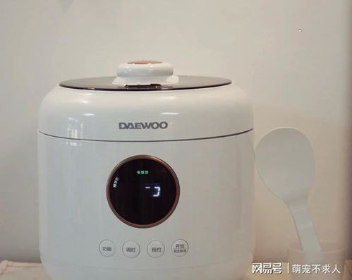 有哪些高颜值的小家电值得入手 这7件真心不错,精致又实用